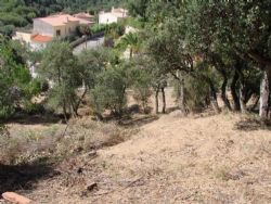  land for sale Calonge