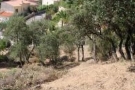  land for sale Calonge