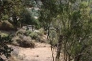  land for sale Calonge