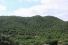  land for sale Calonge